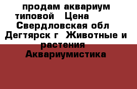продам аквариум типовой › Цена ­ 350 - Свердловская обл., Дегтярск г. Животные и растения » Аквариумистика   